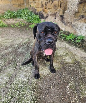 074e23a5-0e6a-49d6-8180-b8fedc98d5d2 1